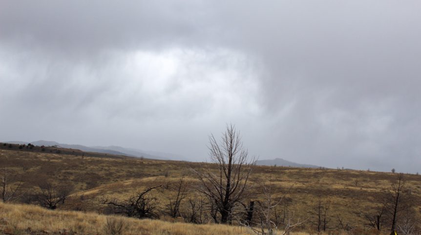GR6 — photograph 46 of the claim ground, Humboldt County, Nevada