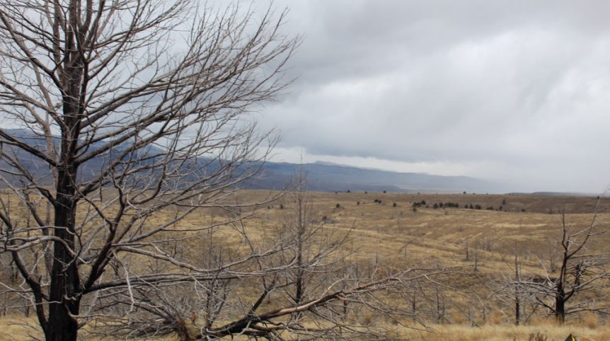 GR6 — photograph 49 of the claim ground, Humboldt County, Nevada