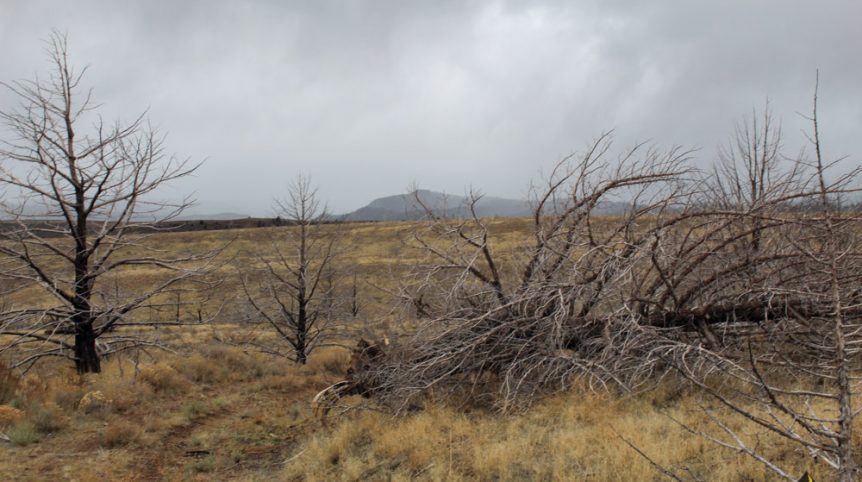 GR6 — photograph 50 of the claim ground, Humboldt County, Nevada