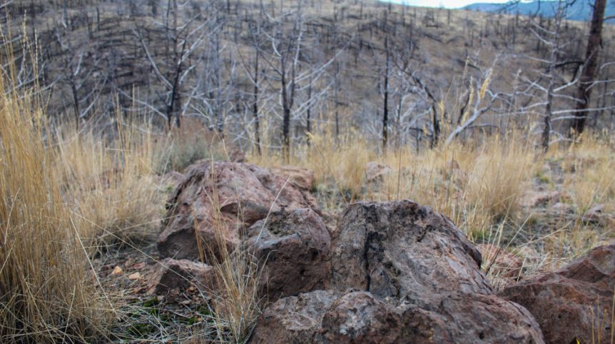 GR6 — photograph 53 of the claim ground, Humboldt County, Nevada