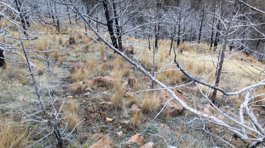 GR6 — photograph 54 of the claim ground, Humboldt County, Nevada