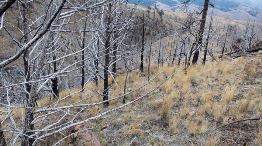 GR6 — photograph 55 of the claim ground, Humboldt County, Nevada