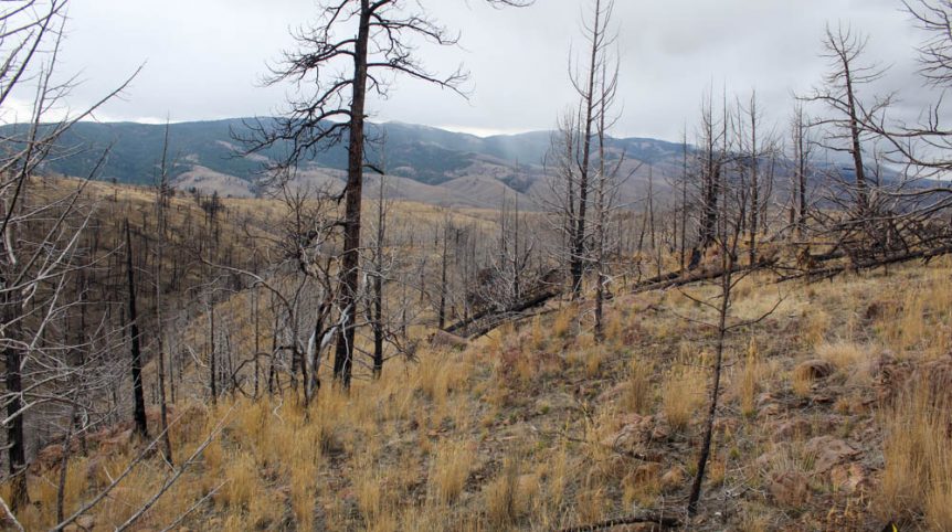 GR6 — photograph 56 of the claim ground, Humboldt County, Nevada