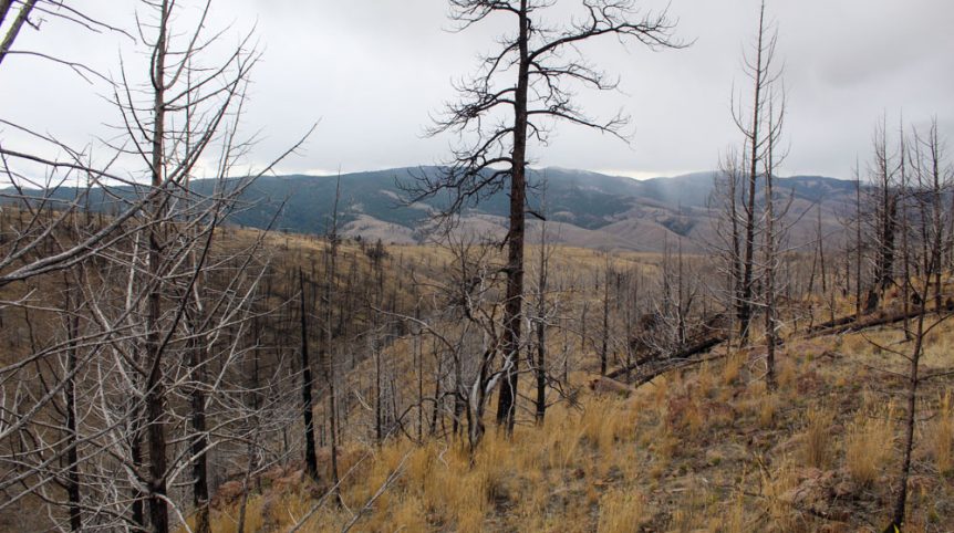GR6 — photograph 57 of the claim ground, Humboldt County, Nevada