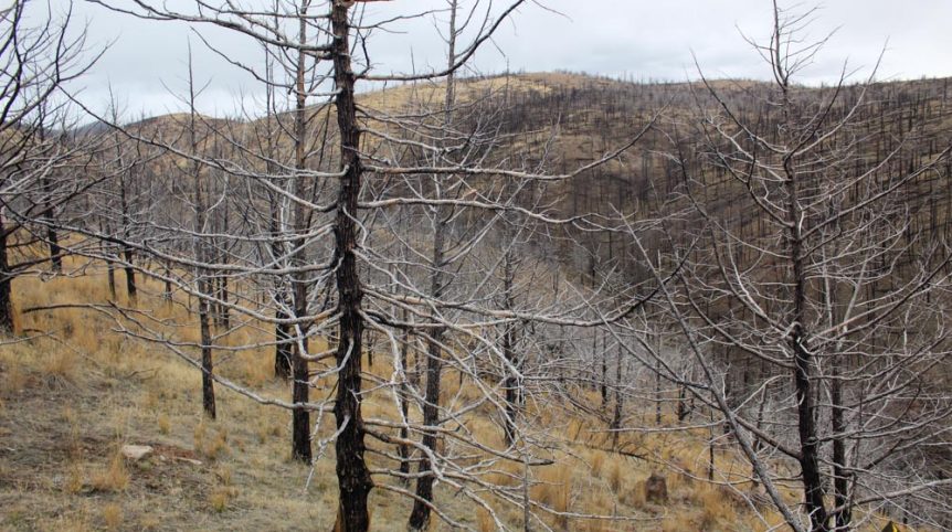 GR6 — photograph 58 of the claim ground, Humboldt County, Nevada