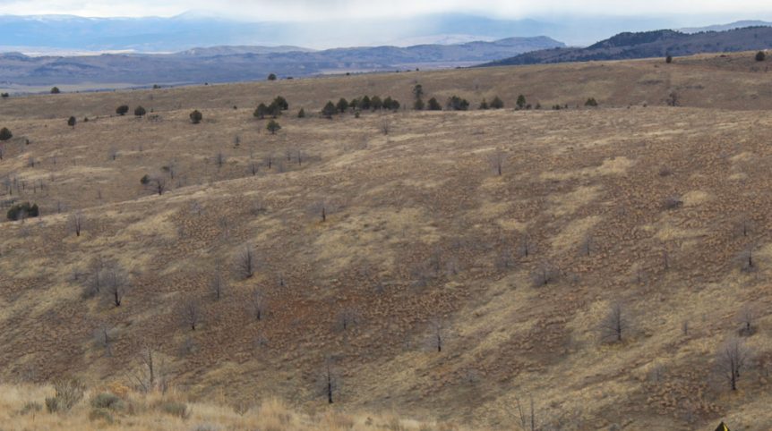 GR6 — photograph 64 of the claim ground, Humboldt County, Nevada