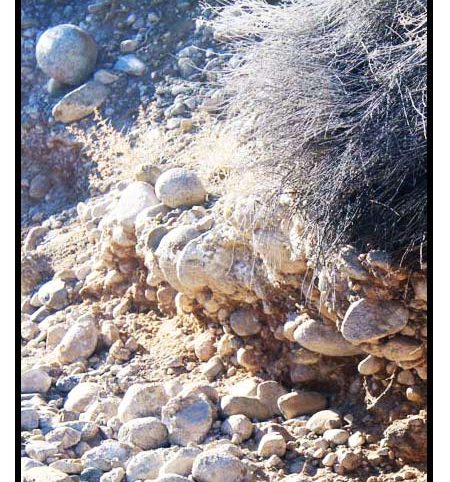 Lower Buckeye — photograph 91 of the claim ground, Douglas County, Nevada