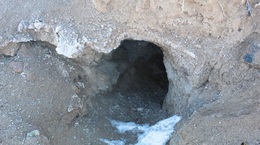 Imperial Gold Placer — photograph 4 of the claim ground, Douglas County, Nevada