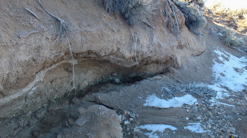Imperial Gold Placer — photograph 10 of the claim ground, Douglas County, Nevada