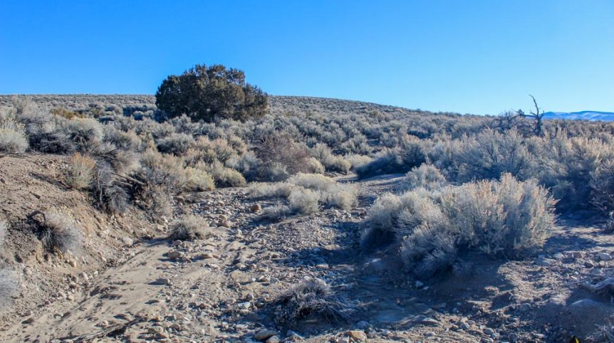 Imperial Gold Placer — photograph 13 of the claim ground, Douglas County, Nevada