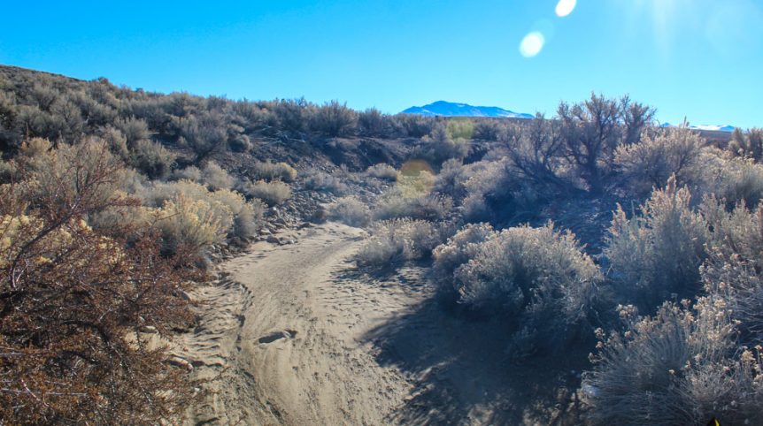 Imperial Gold Placer — photograph 14 of the claim ground, Douglas County, Nevada
