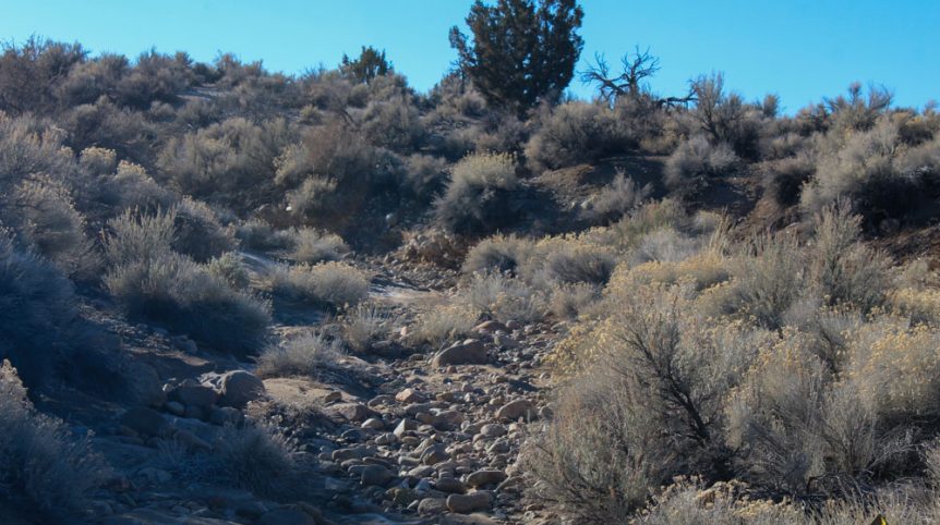 Imperial Gold Placer — photograph 16 of the claim ground, Douglas County, Nevada