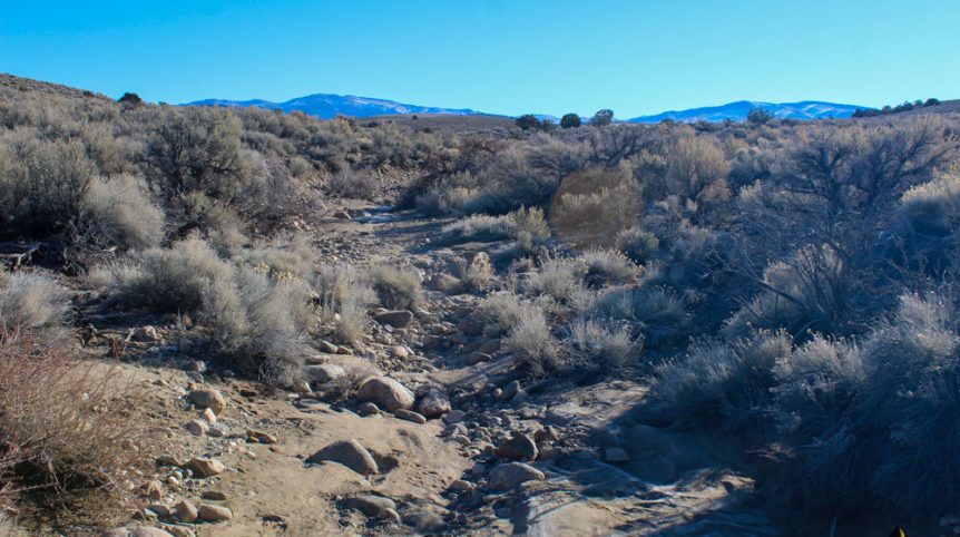 Imperial Gold Placer — photograph 21 of the claim ground, Douglas County, Nevada