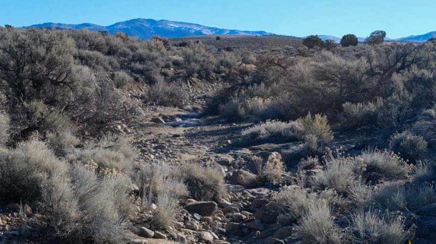 Imperial Gold Placer — photograph 22 of the claim ground, Douglas County, Nevada