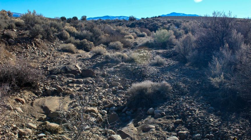 Imperial Gold Placer — photograph 23 of the claim ground, Douglas County, Nevada