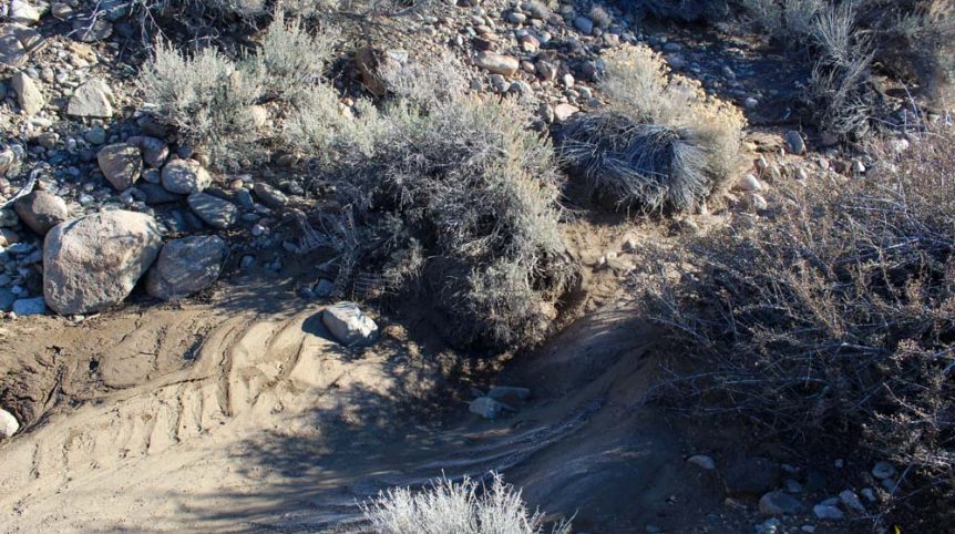 Imperial Gold Placer — photograph 24 of the claim ground, Douglas County, Nevada