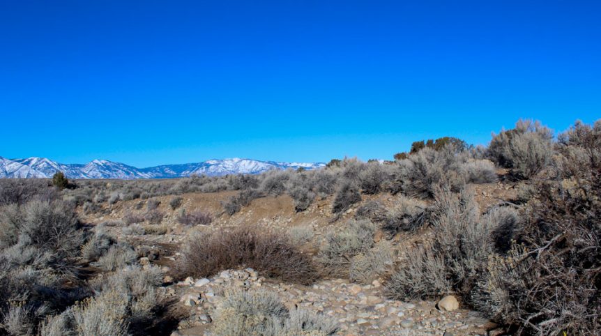 Imperial Gold Placer — photograph 25 of the claim ground, Douglas County, Nevada