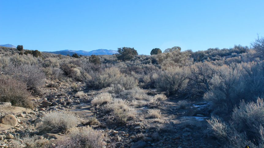 Imperial Gold Placer — photograph 27 of the claim ground, Douglas County, Nevada