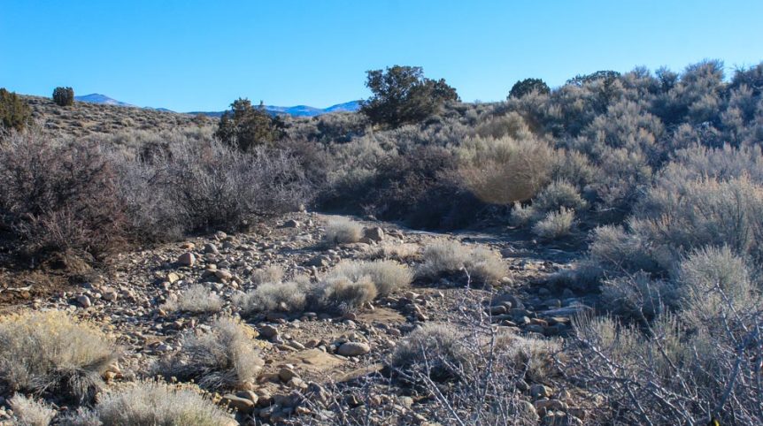 Imperial Gold Placer — photograph 29 of the claim ground, Douglas County, Nevada
