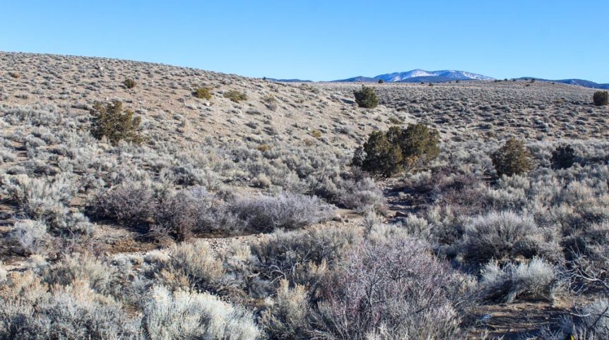 Imperial Gold Placer — photograph 31 of the claim ground, Douglas County, Nevada