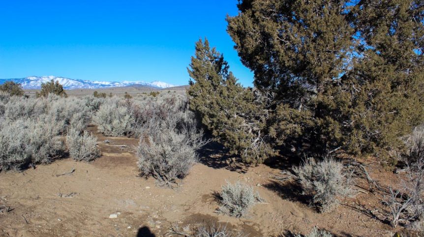Imperial Gold Placer — photograph 33 of the claim ground, Douglas County, Nevada
