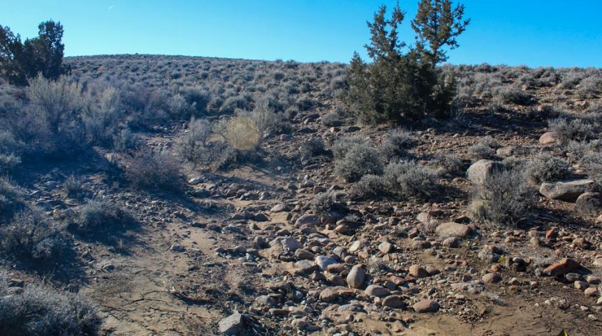 Imperial Gold Placer — photograph 35 of the claim ground, Douglas County, Nevada