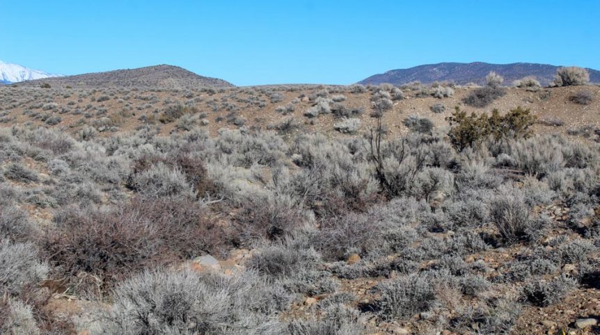 Imperial Gold Placer — photograph 36 of the claim ground, Douglas County, Nevada