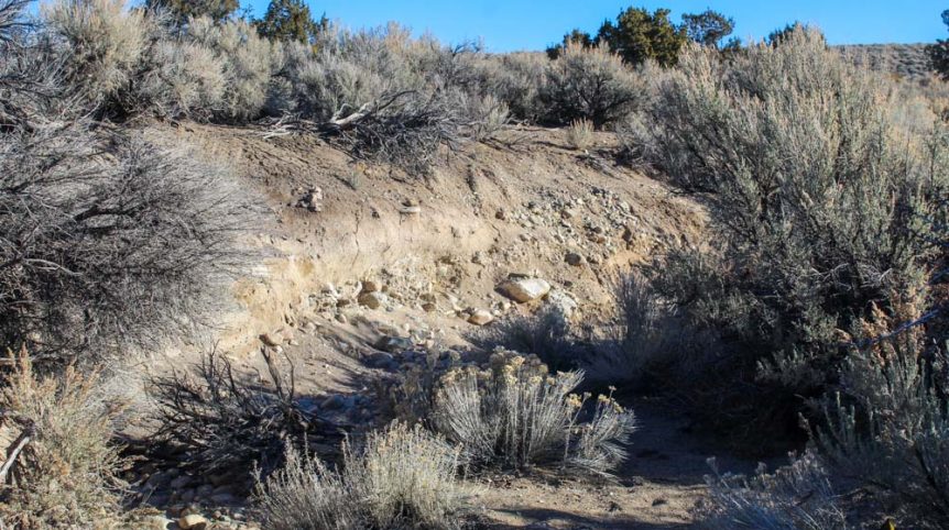 Imperial Gold Placer — photograph 39 of the claim ground, Douglas County, Nevada