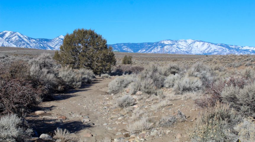 Imperial Gold Placer — photograph 40 of the claim ground, Douglas County, Nevada