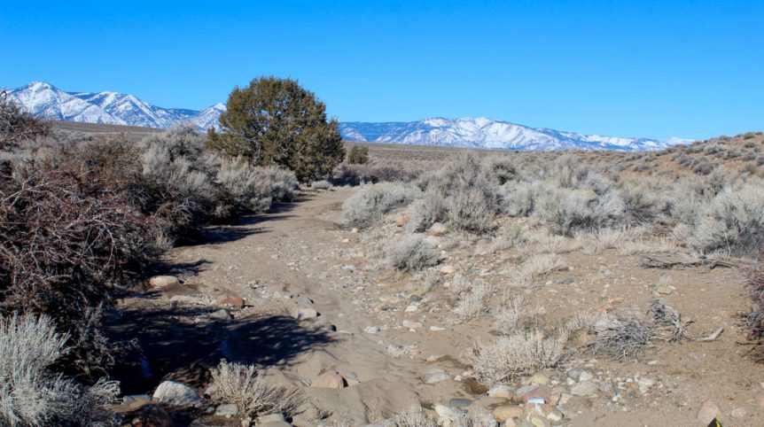 Imperial Gold Placer — photograph 41 of the claim ground, Douglas County, Nevada