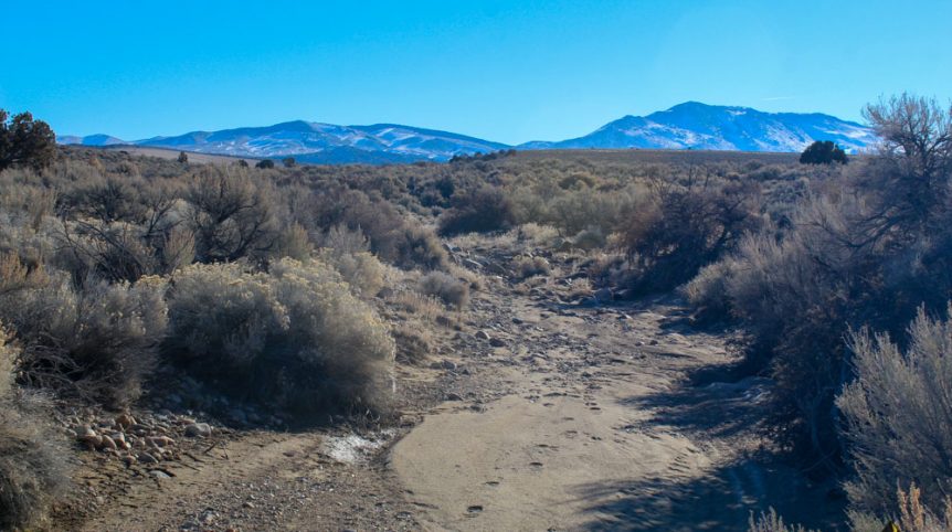 Imperial Gold Placer — photograph 43 of the claim ground, Douglas County, Nevada