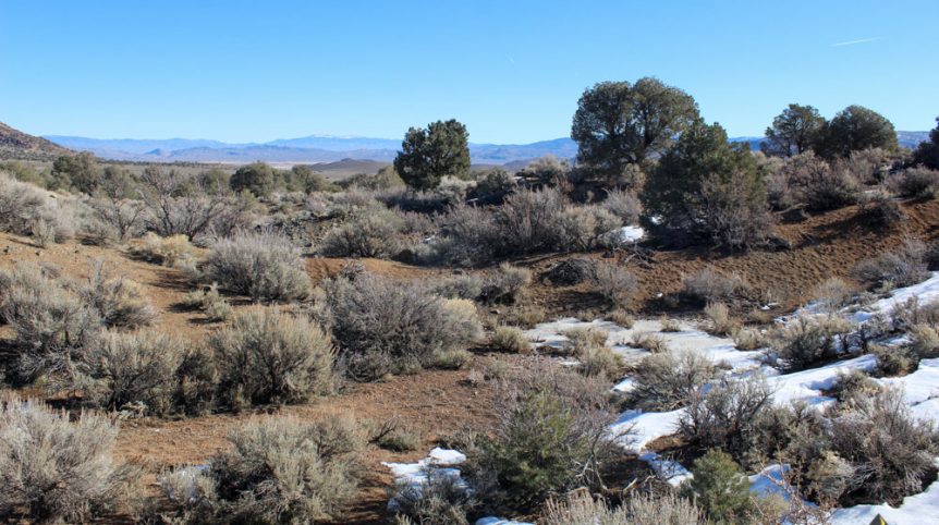 Imperial Gold Placer — photograph 45 of the claim ground, Douglas County, Nevada
