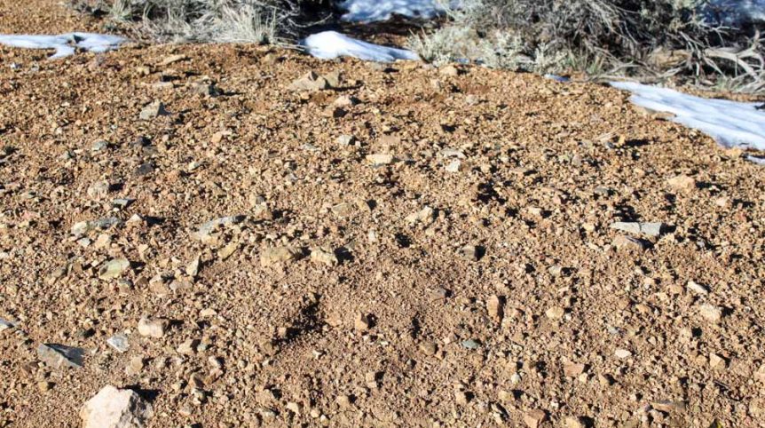 Imperial Gold Placer — photograph 48 of the claim ground, Douglas County, Nevada