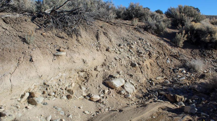 Imperial Gold Placer — photograph 50 of the claim ground, Douglas County, Nevada
