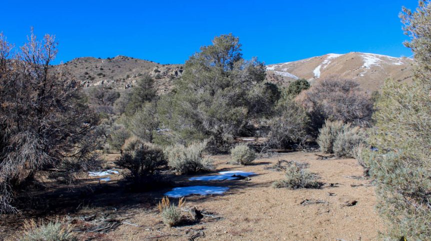 Imperial Gold Placer — photograph 53 of the claim ground, Douglas County, Nevada