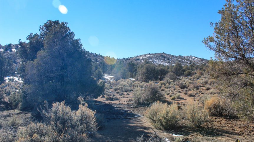 Imperial Gold Placer — photograph 54 of the claim ground, Douglas County, Nevada