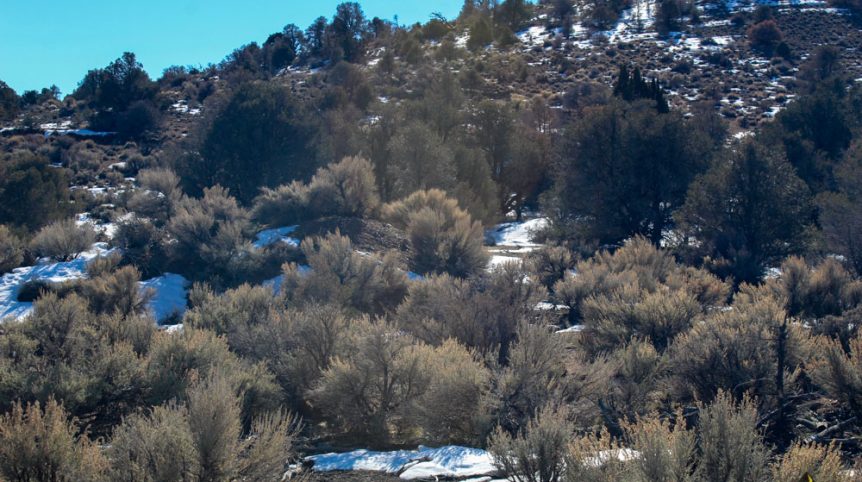 Imperial Gold Placer — photograph 55 of the claim ground, Douglas County, Nevada