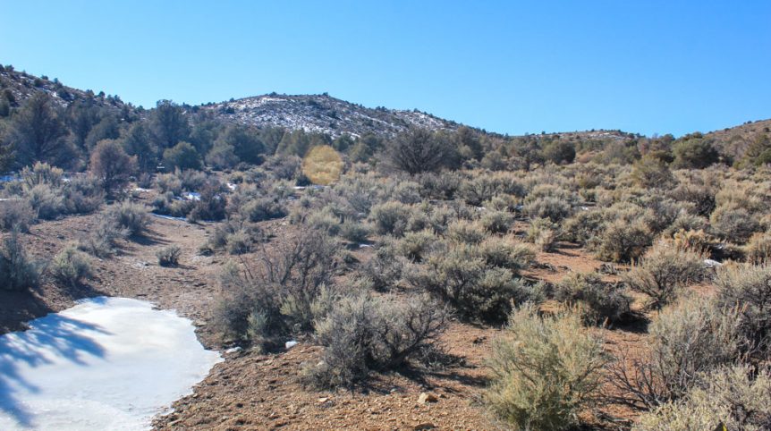 Imperial Gold Placer — photograph 56 of the claim ground, Douglas County, Nevada