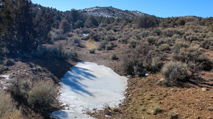 Imperial Gold Placer — photograph 57 of the claim ground, Douglas County, Nevada