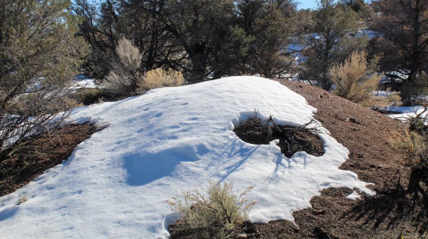 Imperial Gold Placer — photograph 62 of the claim ground, Douglas County, Nevada