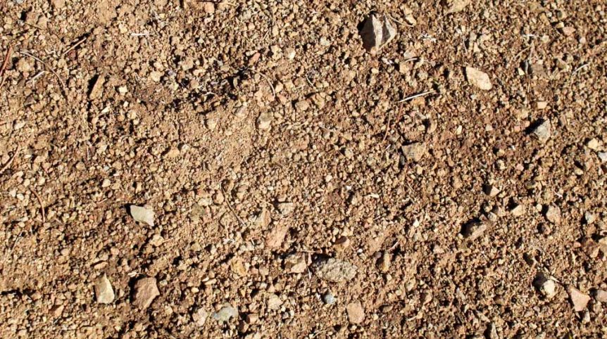 Imperial Gold Placer — photograph 63 of the claim ground, Douglas County, Nevada