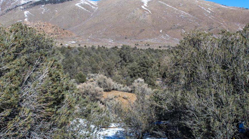 Imperial Gold Placer — photograph 64 of the claim ground, Douglas County, Nevada