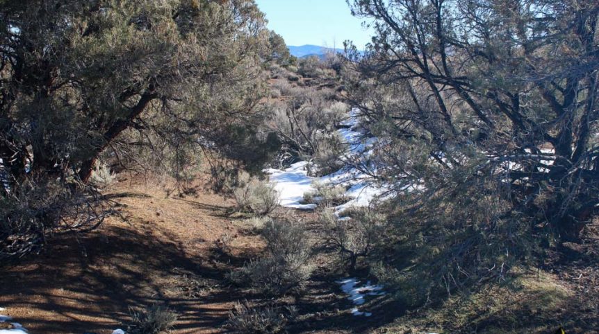 Imperial Gold Placer — photograph 65 of the claim ground, Douglas County, Nevada