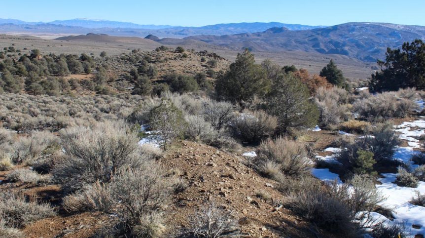 Imperial Gold Placer — photograph 68 of the claim ground, Douglas County, Nevada