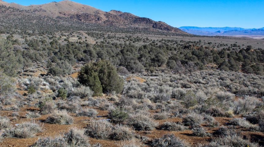 Imperial Gold Placer — photograph 69 of the claim ground, Douglas County, Nevada