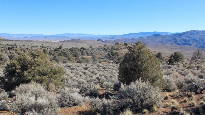 Imperial Gold Placer — photograph 70 of the claim ground, Douglas County, Nevada
