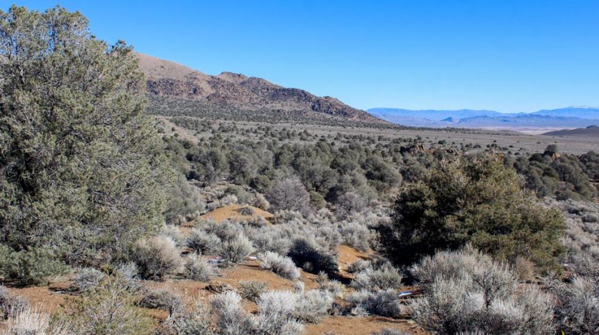 Imperial Gold Placer — photograph 71 of the claim ground, Douglas County, Nevada