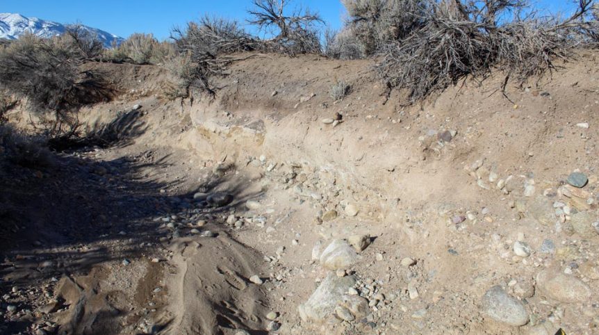 Imperial Gold Placer — photograph 72 of the claim ground, Douglas County, Nevada