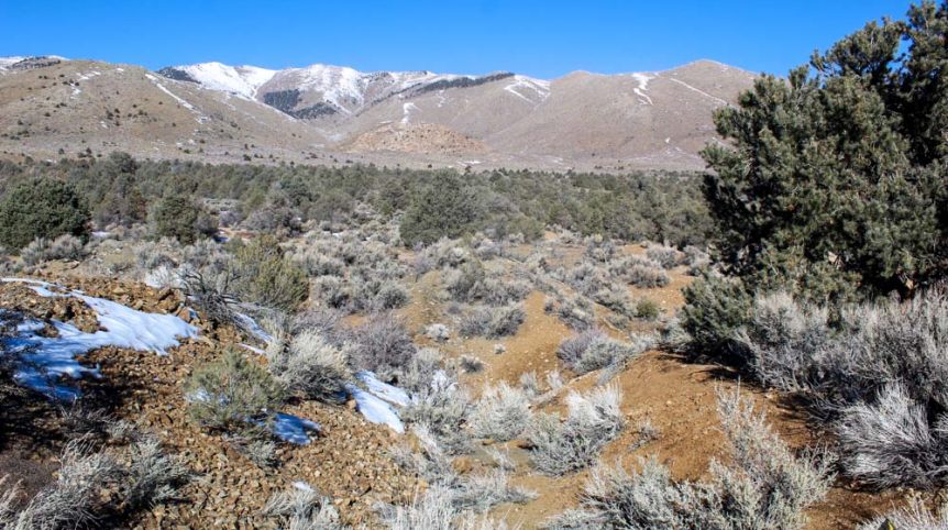Imperial Gold Placer — photograph 80 of the claim ground, Douglas County, Nevada