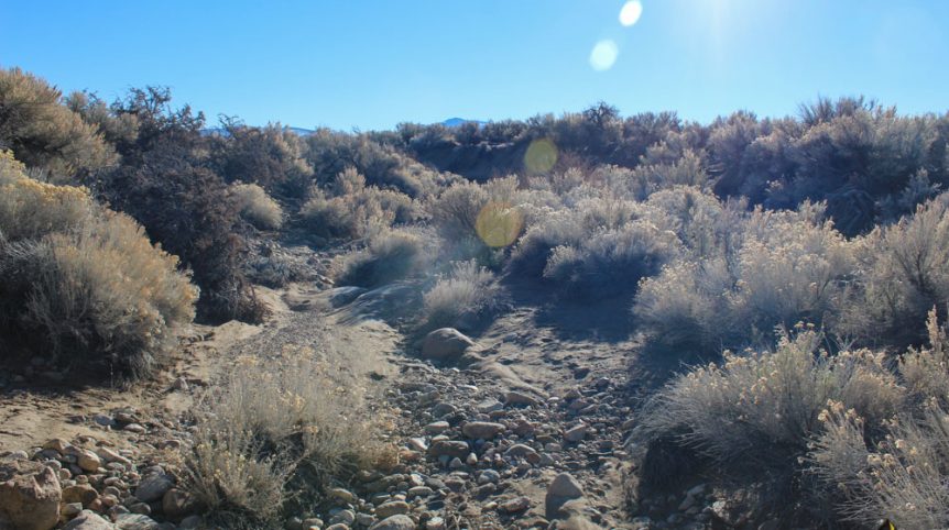 Imperial Gold Placer — photograph 83 of the claim ground, Douglas County, Nevada